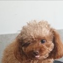 D-Style(디스타일) 이미지