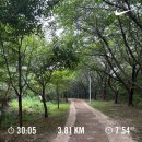 화수목한의원 | 2025 7월 week 31 월쉬고 화수목금토 근무