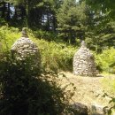 잣나무솔향기 이미지