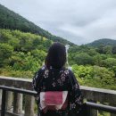 하모니카로 건강과 행복을 누려요 | [일본여행 | DAY2] 교토 기요미즈데라