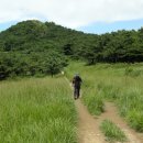 낙동정맥 21차(남락고개~개금고개) : 산성막걸리로 녹초가 되었다가 백양산에서의 멋진 조망에 살아나다 이미지