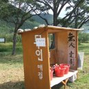부남중기
