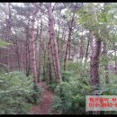 솔비공인중개사사무소 이미지