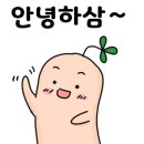 정관장 반석점