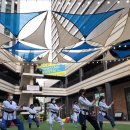 강서월드태권도장 이미지