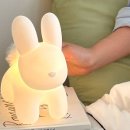 스마일 래빗