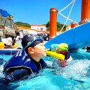 물나들이 이미지