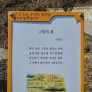 이황칼국수