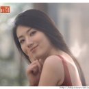 H.베네슈