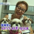 도그맘 이미지