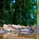 추억의 개그.(염라대왕의 명판결.) 이미지