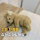 정헤어링 네이버블로그