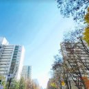 반지주공3단지아파트경로당 | 광명시 하안동 임장, 하안주공 1~12단지 재건축 궤도 진입! 신탁 방식의 속도전과 하안2지구 착공 호재