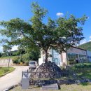 박산리 작약골 쌍탑제 이미지