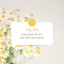 아르떼제이
