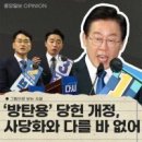 ◆전과4범 이재명이 대통령후보 당대표 되는 한심한 민주당 이미지