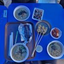 학표농자재 이미지