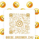 베베펫살롱 이미지