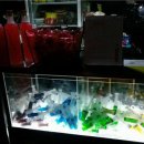 의료법인 성은의료재단 이미지