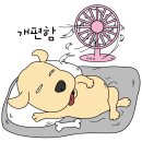 다도해횟집 이미지