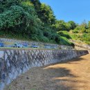 공설묘지 이미지