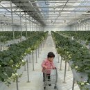 다인농장2 이미지