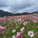 황산공원 이미지