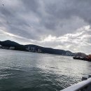 부산 고등어낚시 대변항 후기