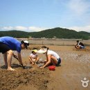 충남 서천 월하성마을 맛조개잡이 체험 이미지