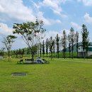 신녕천강변공원 이미지