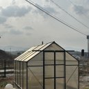 스테이디 이미지