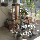 나주혁신 | 화분 가득한 스콘 맛집 러스틱 복숭아빙수 후기
