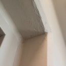 대명콘크리트 | 대구 두류역자이 프리미엄 에어로겔 탄성코트 진주색 직접 시공 후기