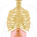 경희보비한의원 이미지