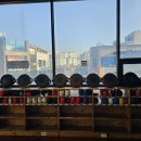 캥거루복싱GYM 이미지