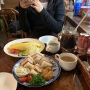 망원동 산책 데이트 코스 총망라 (센토브, 토마토코엔, 영카이브 망원, 망원한강공원, 아뜰리에르플리...