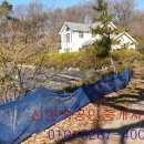 신연숙공인중개사사무소 이미지