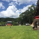 클럽더독스 이미지