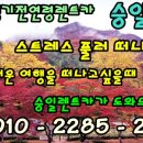 승일카 이미지