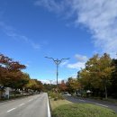하객후기) 날씨 좋은 가을날 춘천 ‘미래컨벤션웨딩홀’ 하객 (하객패션, 예식, 웨딩홀뷔페후기)