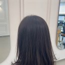 프롬벨헤어 관저점