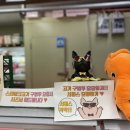 만세정육점 이미지