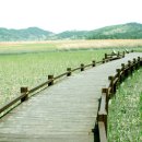 독서논술지도사(2급) 이미지