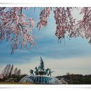 서울복사 이미지