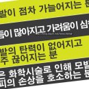 르네시떼시장 이미지