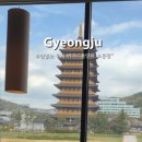 풀잎채보문점 이미지