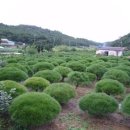 반송농장 이미지