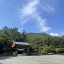 영산로 배롱나무길 이미지