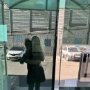 정하세탁 | [Review]뉴나 트래블lx 휴대용 유모차 구매후기❤️‍🔥(4시간 고민하다 5분만에 결정한 썰...)