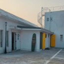 109 | 🌴 대형견 동반 가능 강화도 카페109하우스 방문 후기｜바다뷰 루프탑까지 있는 애견동반 카페